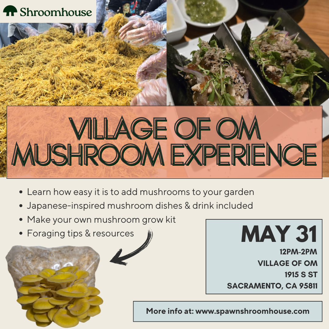 Village of OM Mushroom Experience 5/31