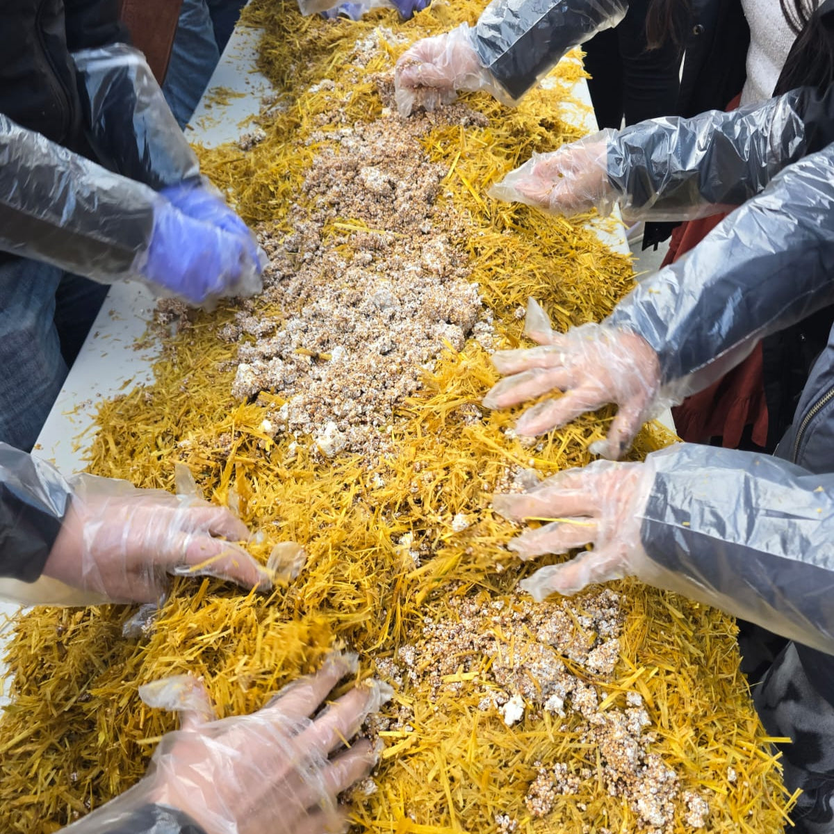 Mushroom Cultivation Workshop 5/10