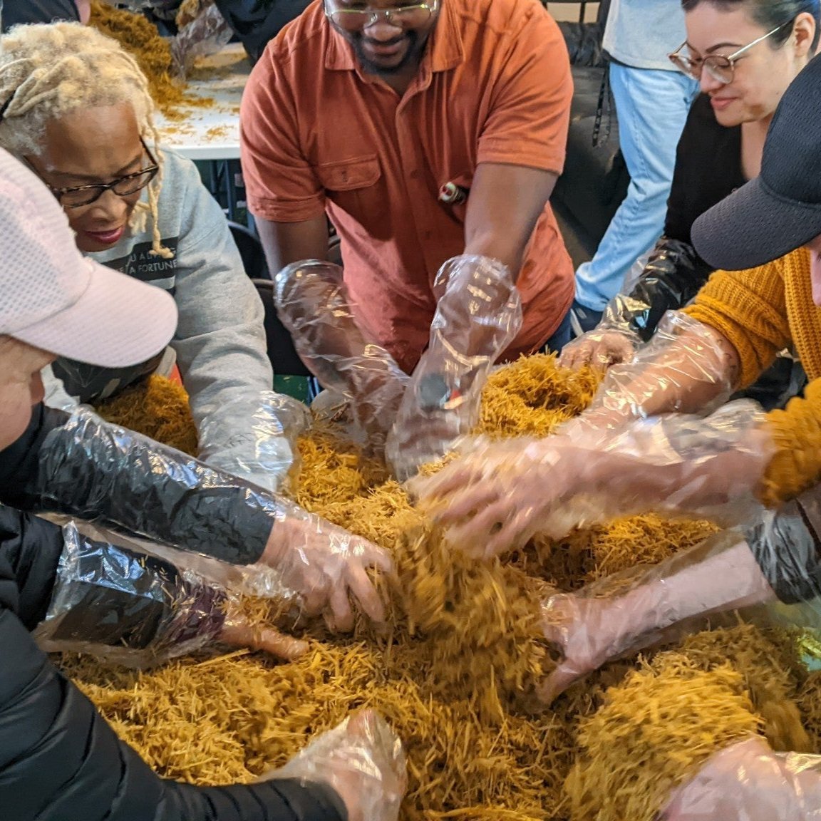 11/15 Mushroom Cultivation Workshop at Gold Vibe Kombuchary