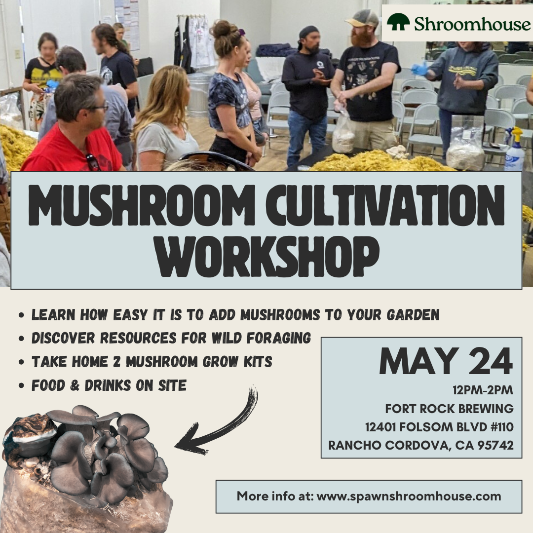 Mushroom Cultivation Workshop 5/24
