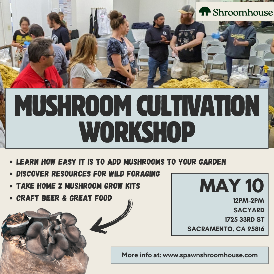 Mushroom Cultivation Workshop 5/10