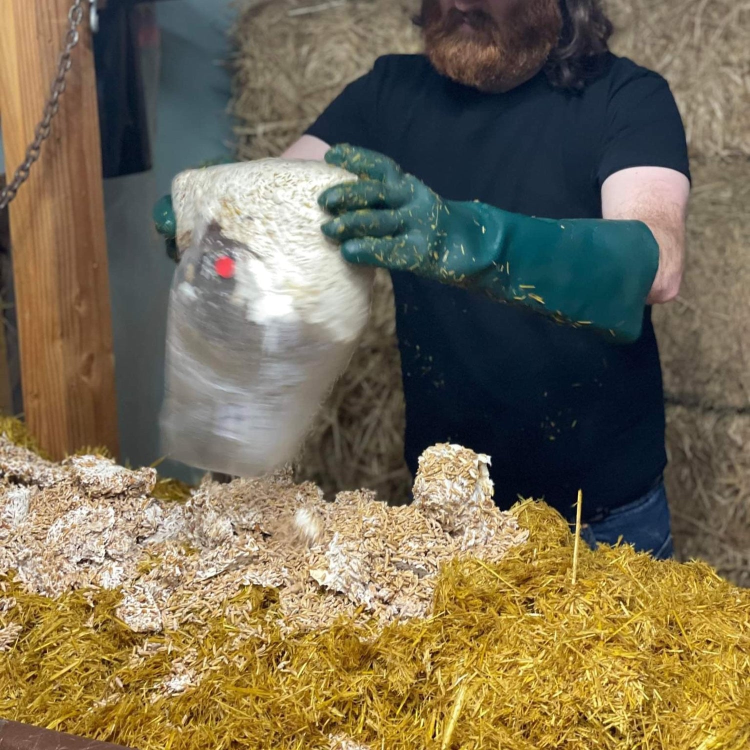 Cultivation Supplies
