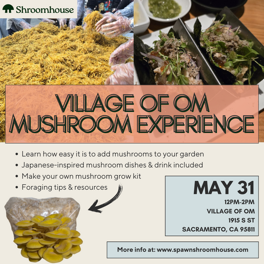 Village of OM Mushroom Experience 5/31