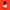 Reishi Mushroom Extract Capsules