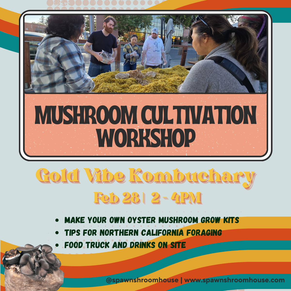 2/28 Mushroom Cultivation Workshop at Gold Vibe Kombuchary