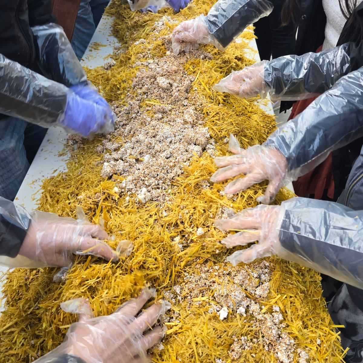 4/4 Mushroom Cultivation Workshop at SacYard