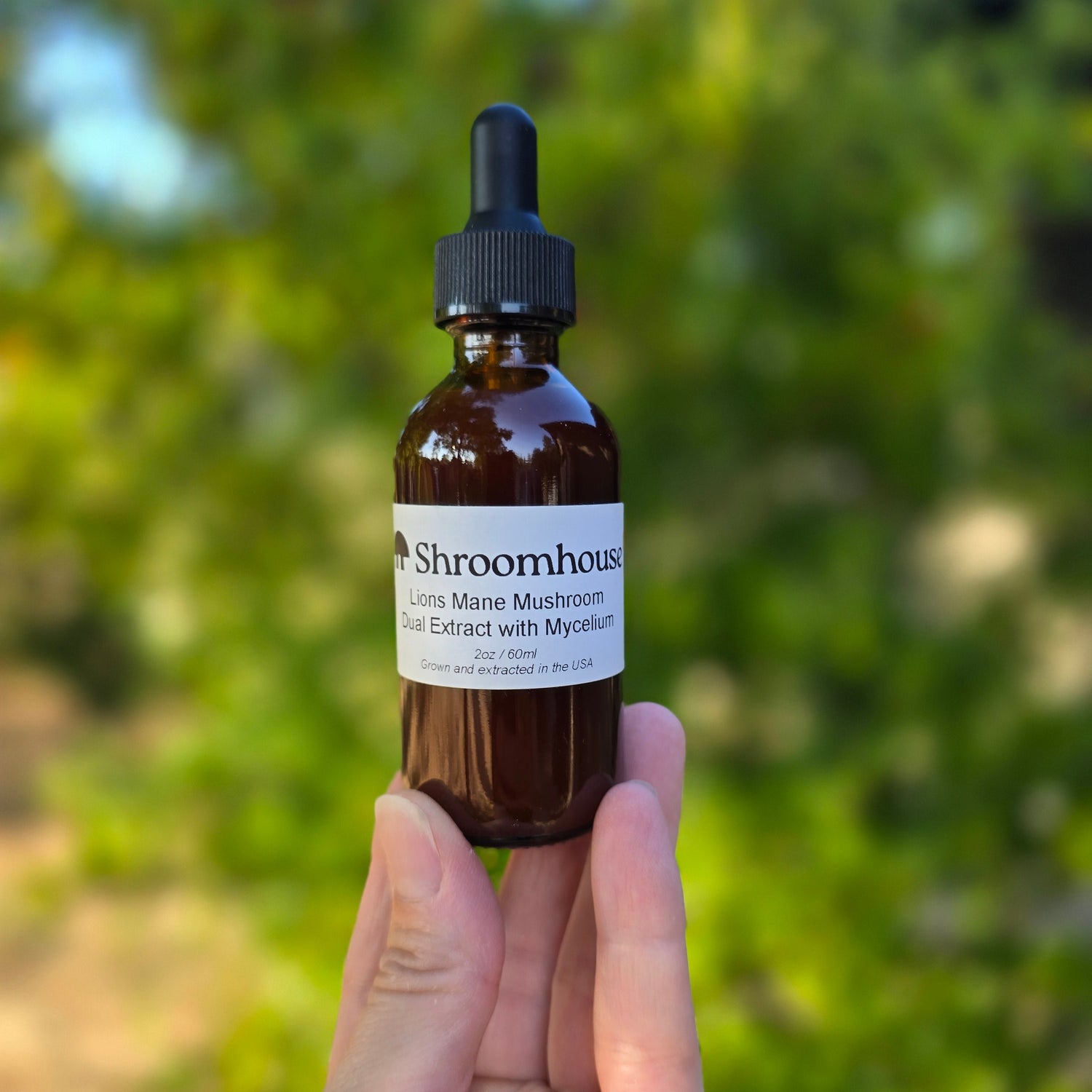 Lion's Mane Dual Extract Tincture