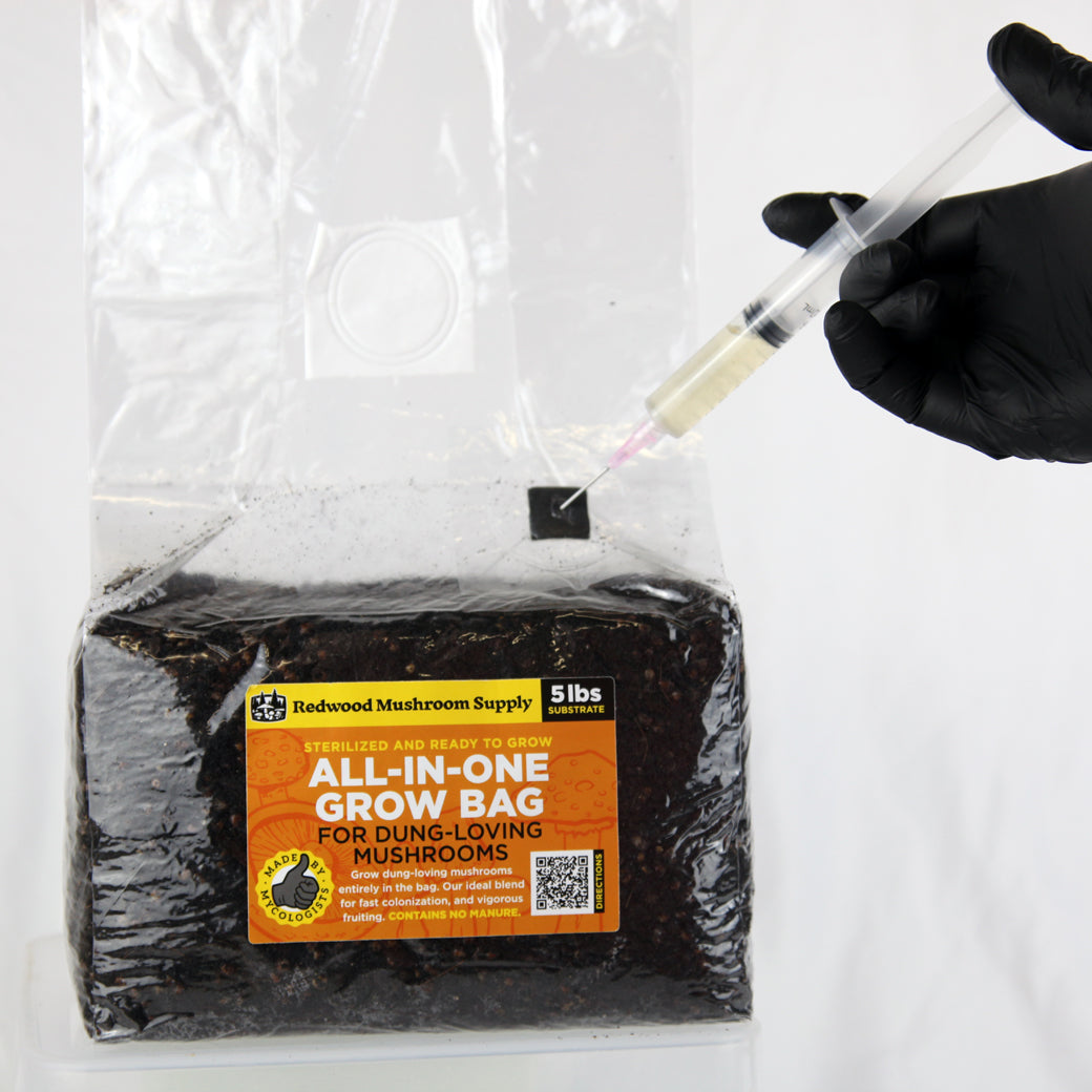 'All-in-One' Mushroom Grow Bag - Dung Loving