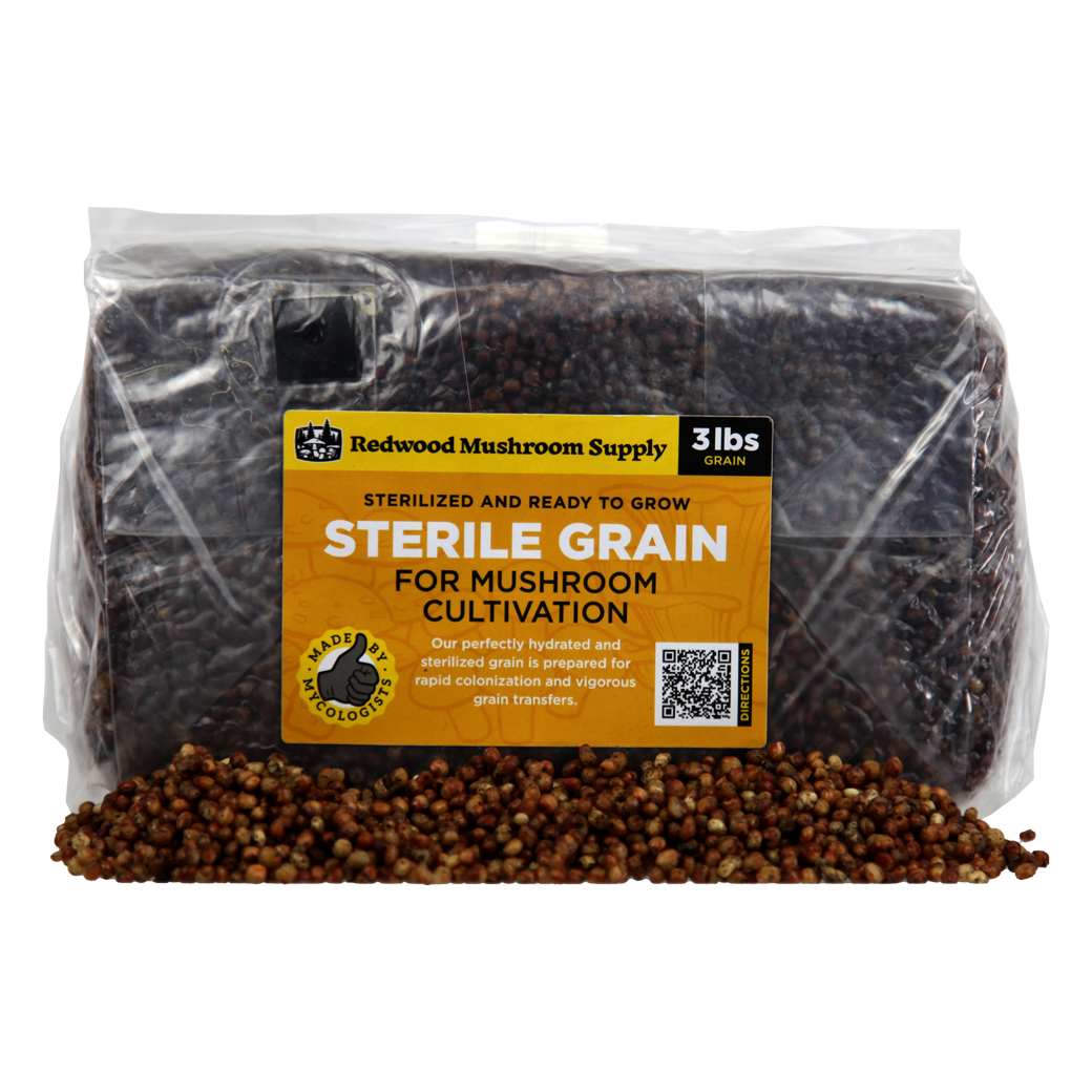 Sterilized Sorghum Grain Bag