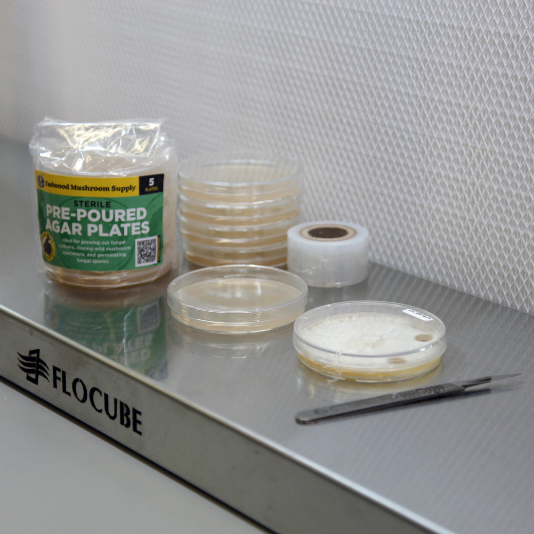 Pre-Poured Agar Plates