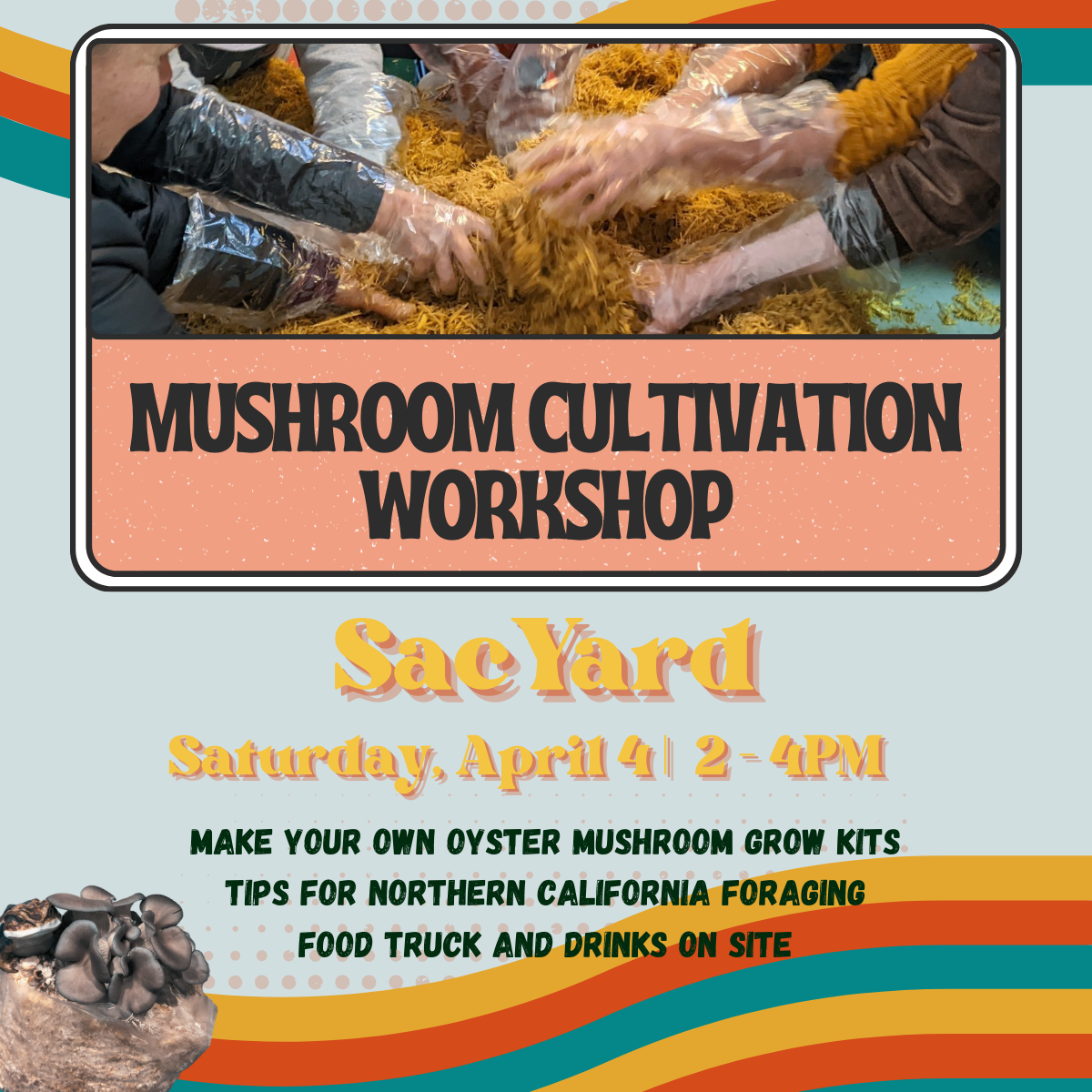 4/4 Mushroom Cultivation Workshop at SacYard