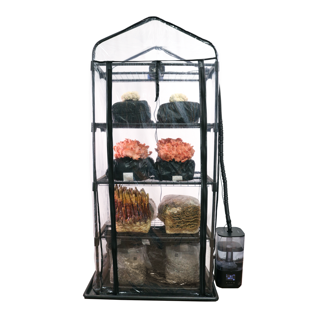 Mushroom Grow Tent Starter Kit