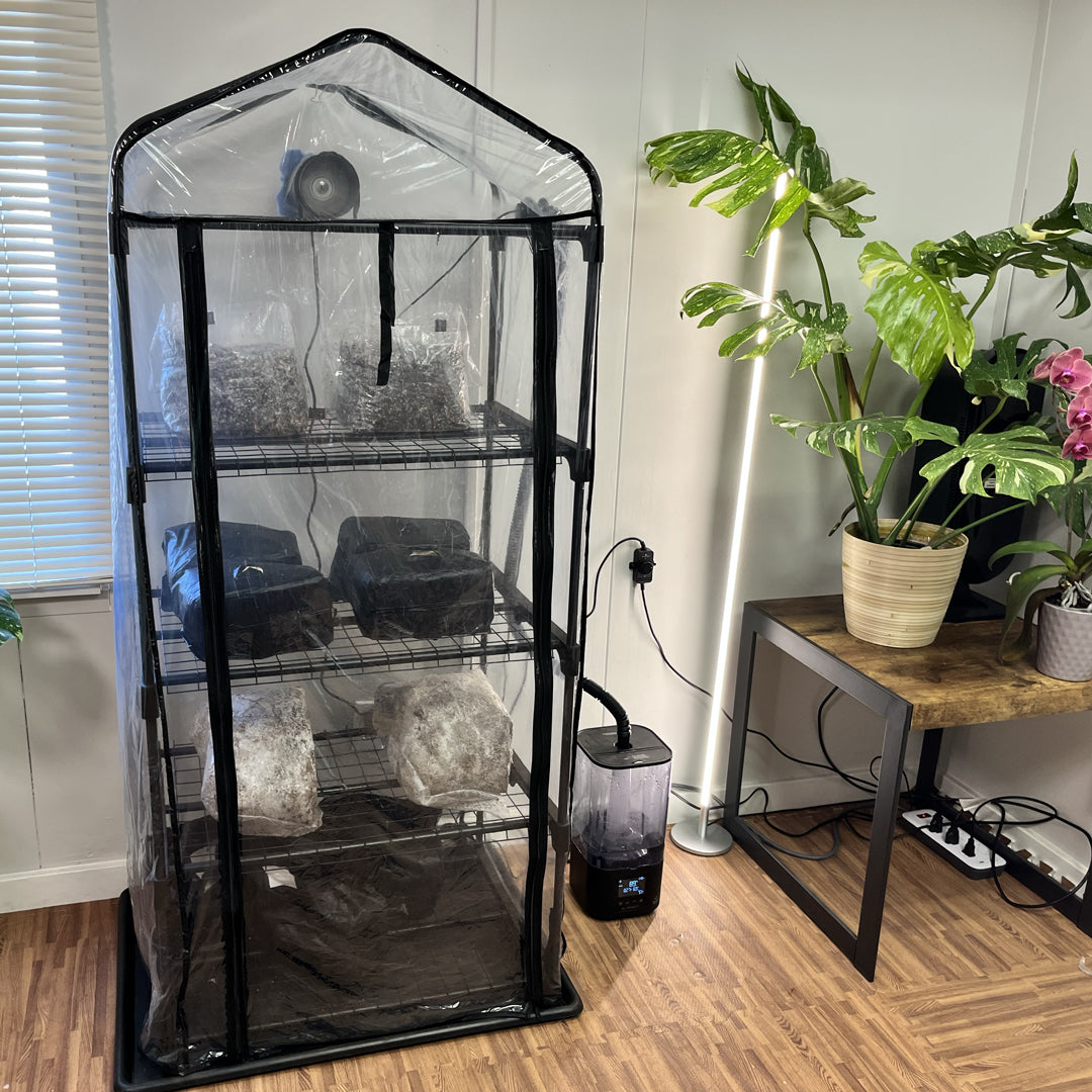 Mushroom Grow Tent Starter Kit