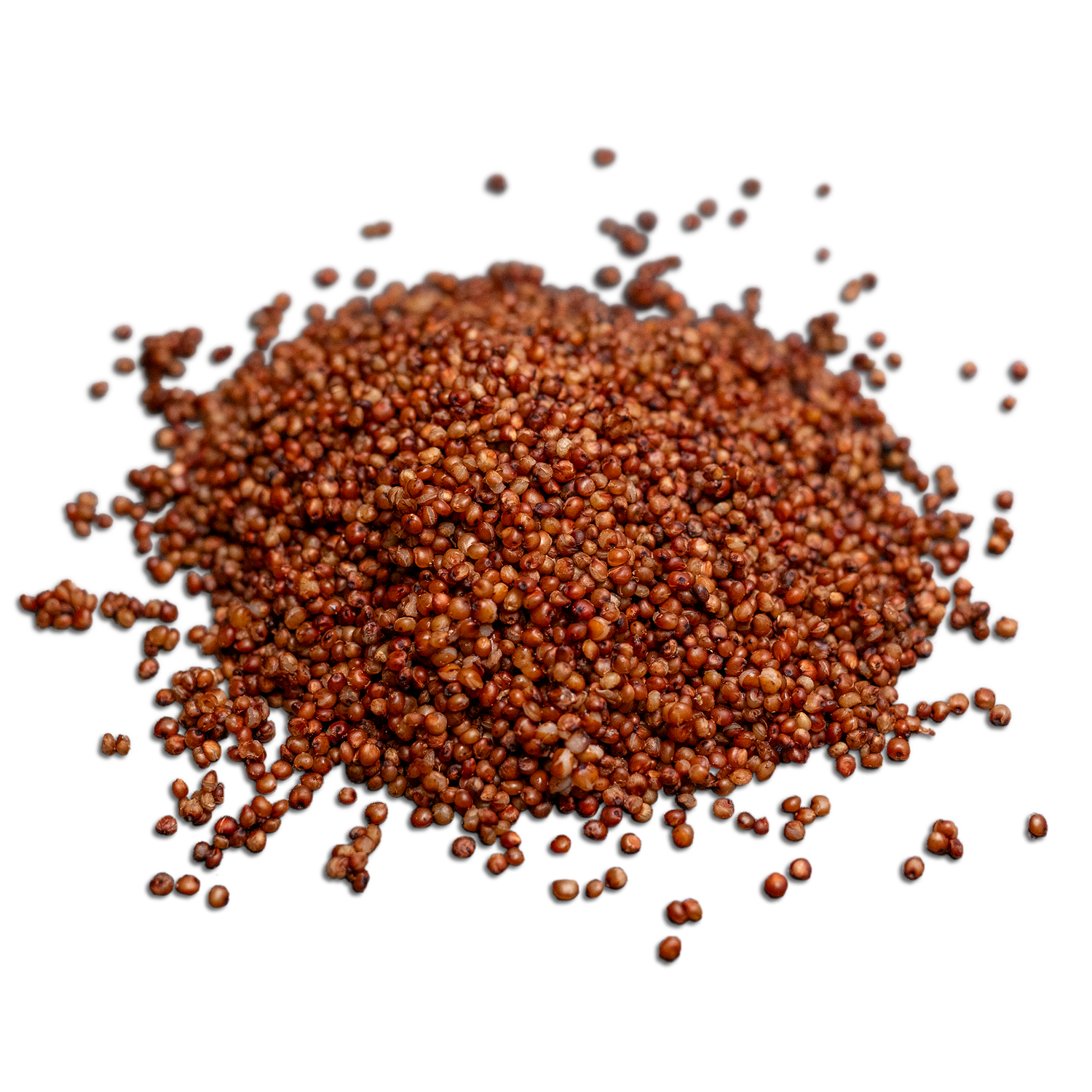 Sterilized Sorghum Grain Bag