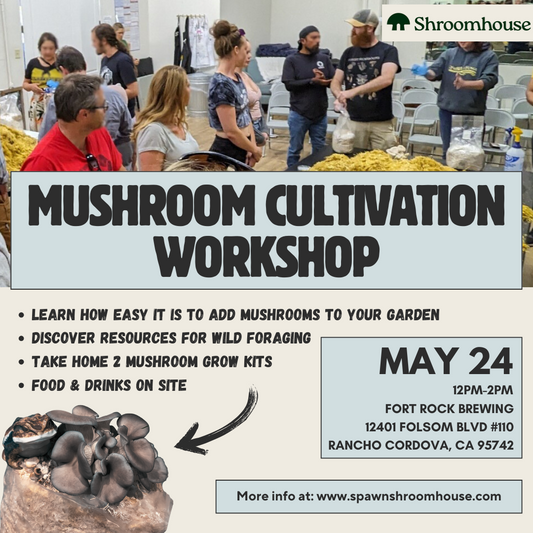 Mushroom Cultivation Workshop 5/24