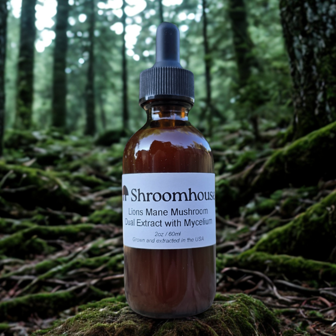 Lion's Mane Dual Extract Tincture