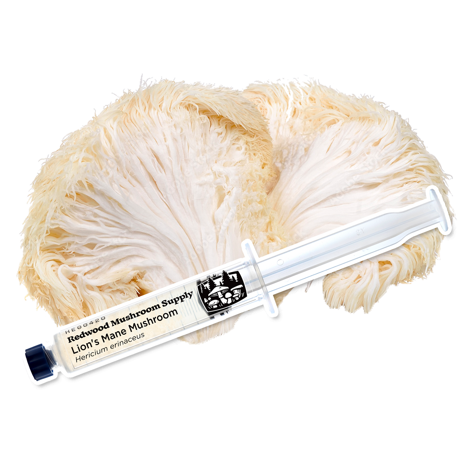 Lion's Mane Mushroom Liquid Culture Syringe