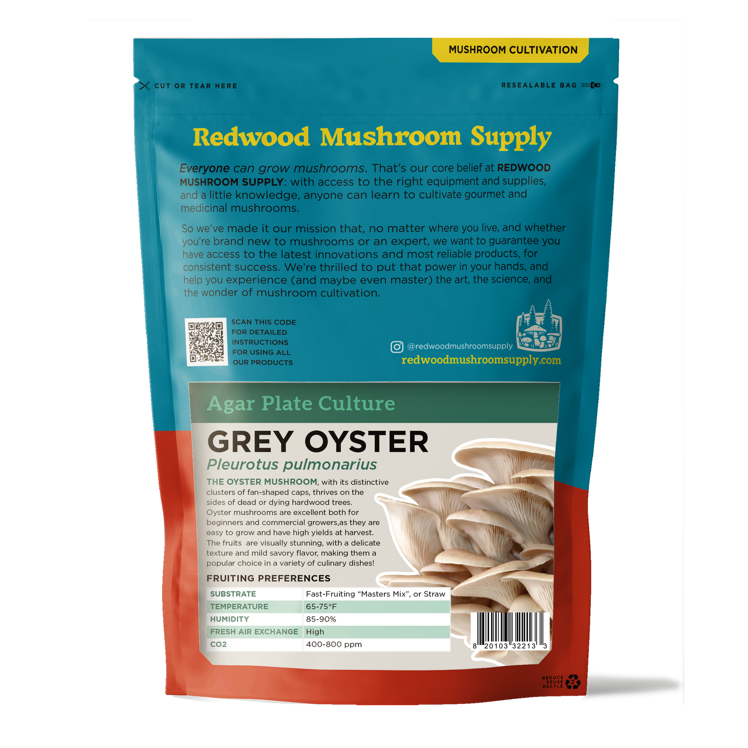 Grey Oyster Plate Culture