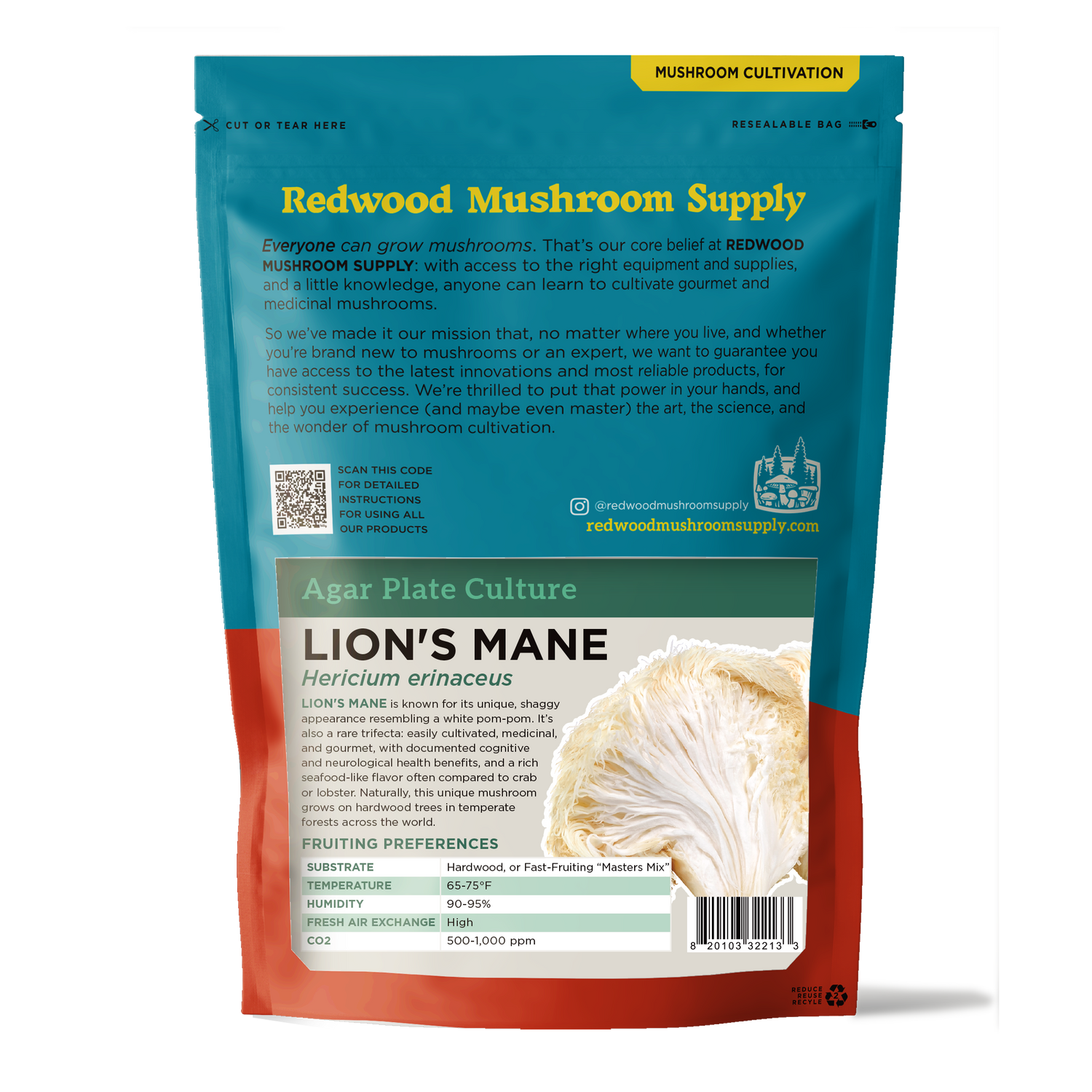 Lion's Mane Plate Culture